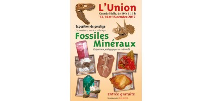 Bourse Mineralien und Fossilien von L'Union Toulouse